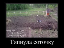 Дачи, огороды, и проблемы