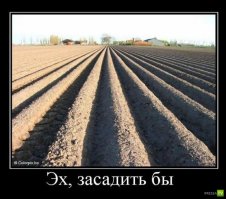 Дачи, огороды, и проблемы
