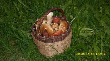 У нас в сентябре было так...