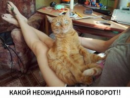 Как Серега жену встретил