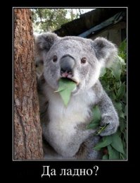 Крестный ход против ДТП