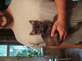 Даже молоко пить сил не было