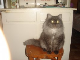 Даже молоко пить сил не было