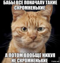 “В этом доме кота не будет!”, – сказал отец. Но однажды вся семья отправилась в парикмахерскую 