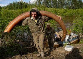 Эх, жаль мамонтов перебили... Побегали бы они за ними, поохотились, пока мужички с детишками в тёплых пещерах нянчились...