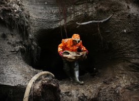 Эх, жаль мамонтов перебили... Побегали бы они за ними, поохотились, пока мужички с детишками в тёплых пещерах нянчились...