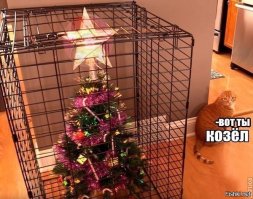 Очередная порция картинок с подписями