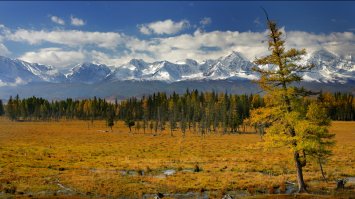 Вы говорите на Алтае горы низкие? А не пробовали дальше к монгольской границе проехать?
Вот мое фото. Сделал прямо от асфальта в районе села Курай.