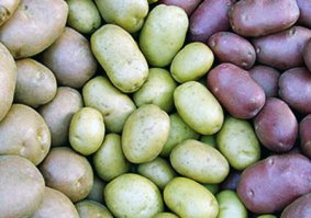 Автор истеричка