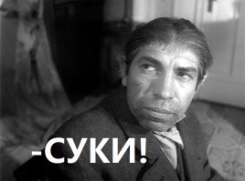 Собака умерла из-за 'разбитого сердца' после того, как владелец бросил её в аэропорту