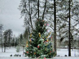 Зимние пейзажи 