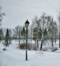 Зимние пейзажи 