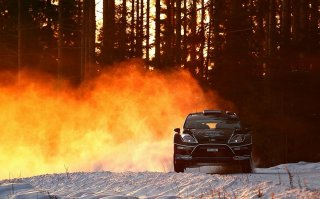 Фотоподборка за 20.11.2017