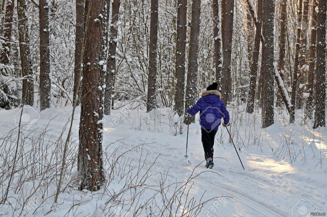 Никитич осторожно выглянул из чащи лыжни. Девушка на лыжах в лесу. Девушка на лыжах со спины. Фотосессия на лыжах в лесу. Девочка на лыжах в лесу.