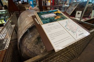 Он же в Австралии шарахнулся! Ну и в океан малость..
Skylab Debris: