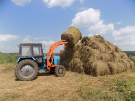 Веганы с голоду не помрут, они запасливые