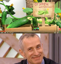 Как приготовить веганскую пиццу