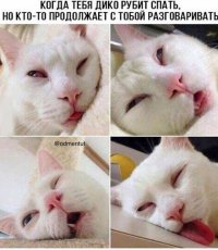 Это в понедельник в 10.00 на совещании у начальства.