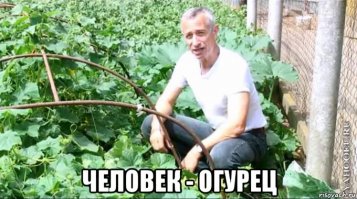 13 лучших экранных супергероев, не имеющих суперспособностей (14 фото)