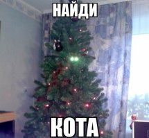 50 гениальных идей, как защитить елку от озорных питомцев