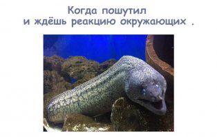 Не ладится жизнь? Значит, вы нарушаете 7 законов Вселенной