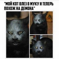 Очередная порция картинок с подписями
