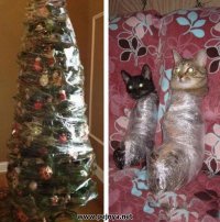 50 гениальных идей, как защитить елку от озорных питомцев