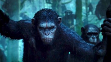 Очередная порция картинок с подписями