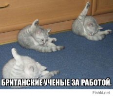 20 правдивых фактов, которые вы, возможно, не хотели знать