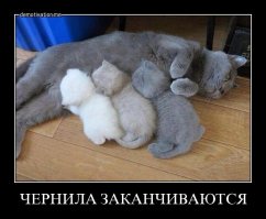 Очередная порция картинок с подписями