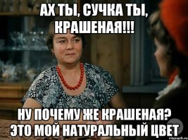 Пес начал каждый день бегать в лес