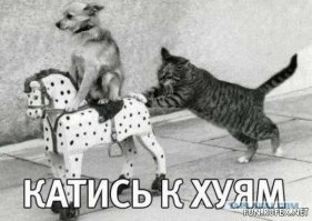 С тобой никто не общается?) Это ты мне вообще то первый написал!