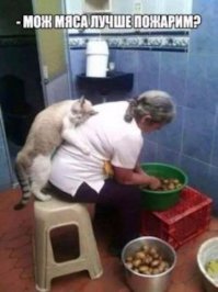 Очередная порция картинок с подписями