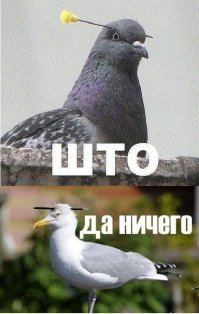 Очередная порция картинок с подписями