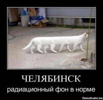 Уже поздно: уральцам не советуют спасаться от радиации