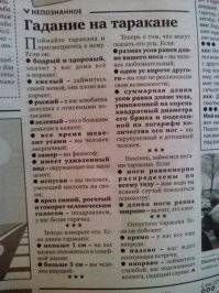 30 самых идиотских, но забавных советов на все случаи жизни