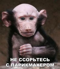 Я упала с самосвала, тормозила головой: смешные комиксы про нас и наши волосы