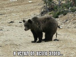 Жизнь Адольфа Гитлера после смерти