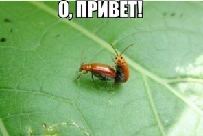 Авария дня. Женщина на Аккорде запрыгнула на Ниссан