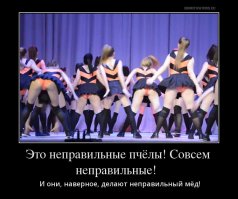Вот пчелки ...