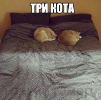 нашел за 30 секунд)