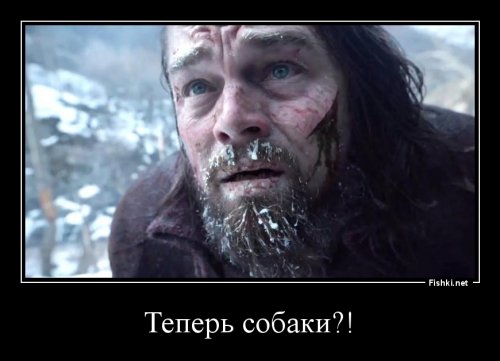 Что делать, если на вас напала собака: 5 важных советов
