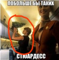 Галерея фотоприколов