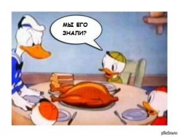 Очередная порция картинок с подписями