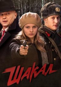 Начало 70-х годов. Майор Черкасов и его команда расследуют новое дело. На этот раз речь идет об ограблениях. А это сфера отдела по борьбе с хищениями социалистической собственности (ОБХСС). Во время грабежей бандиты беспощадно убивают свидетелей. Ограбления организованы четко и продумано. И готовит их кто-то очень осведомленный. Руководство принимает решение объединить против  беспредельщиков  усилия двух ведомств московской милиции: МВД и ОБХСС. Вместе они готовят операцию по задержанию банды. Милиционерам придется столкнуться с хитрым и коварным противником. И потребуются огромные усилия доблестной опергруппы и проницательного Черкасова, чтобы победить жестокого врага.