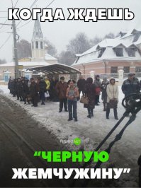 Может это контролеры?