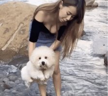 А вы собаку то видели ?