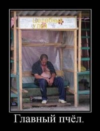 Бомжей Нью-Йорка предложено селить в сотах