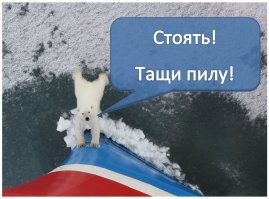 способ "увидеть ветер",...Для этого в ветреный день без осадков нужно взять ровную пилу, встать на север....