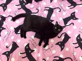 один из массы способов замаскироваться